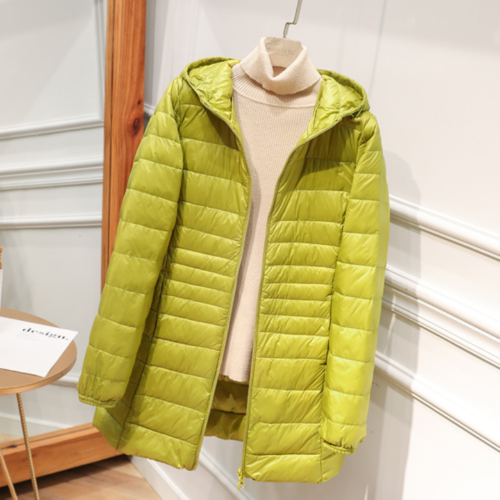 The North Puffer Jacket