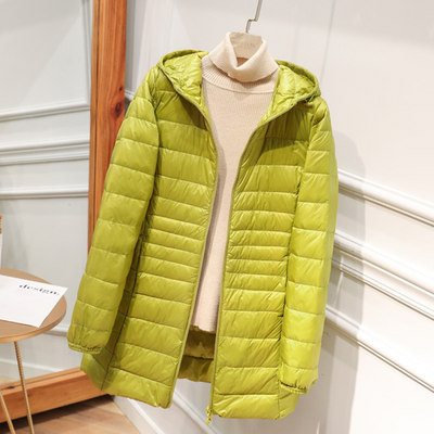 The North Puffer Jacket